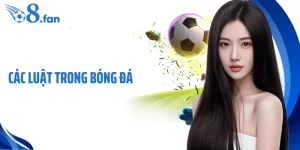 Các Luật Trong Bóng Đá - Nền Tảng Chuẩn Mực Các Trận Bóng 