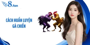 Cách Huấn Luyện Gà Chiến Bài Bản, Giữ Vững Phong Độ