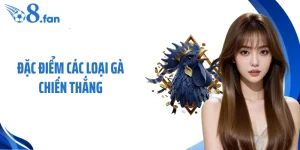 Đặc Điểm Các Loại Gà Chiến Thắng - Nhận Diện Chiến Kê Bền Đòn