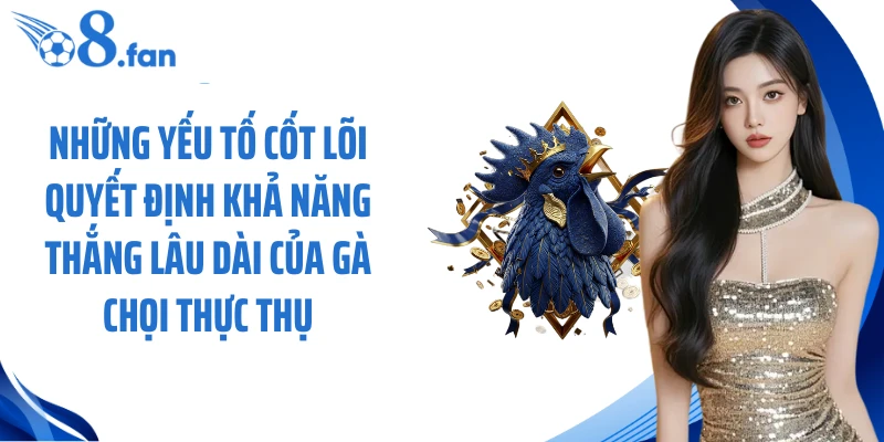 Những yếu tố cốt lõi quyết định khả năng thắng lâu dài của gà chọi thực thụ