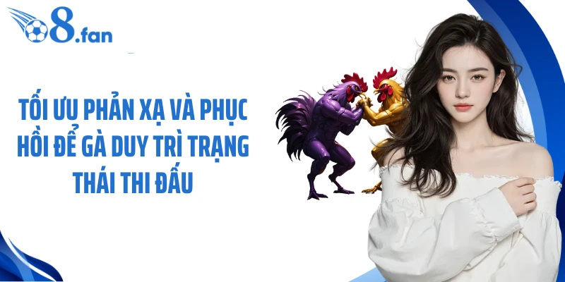 Tối ưu phản xạ và phục hồi để gà duy trì trạng thái thi đấu