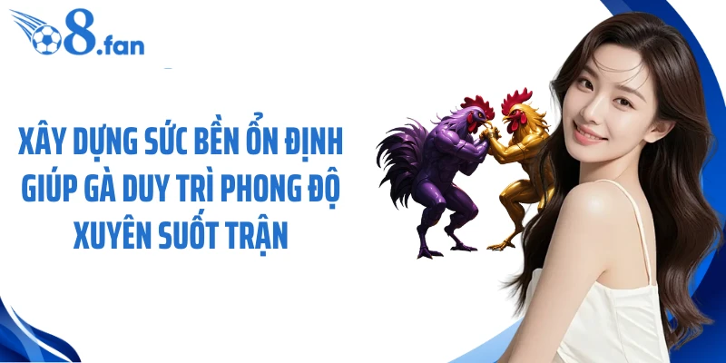 Xây dựng sức bền ổn định giúp gà duy trì phong độ xuyên suốt trận