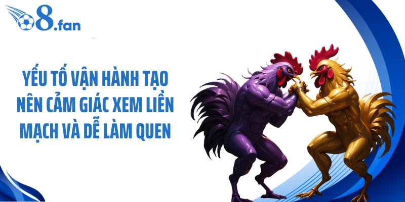 Yếu tố vận hành tạo nên cảm giác xem liền mạch và dễ làm quen